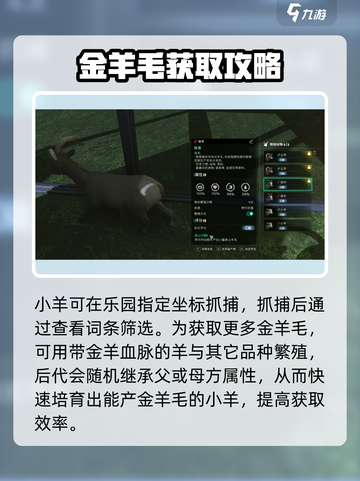 七日世界🔥金羊毛获取秘籍💡玩家必看！截图4