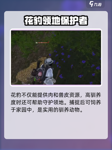 七日世界豹子在哪介绍截图5