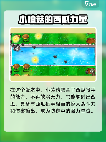 植物大战僵尸无双版🔥全新玩法等你来战！截图4