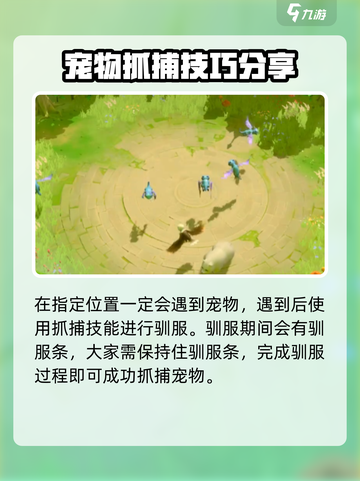 万龙觉醒🔥抓稀有宠物超全攻略💡截图3