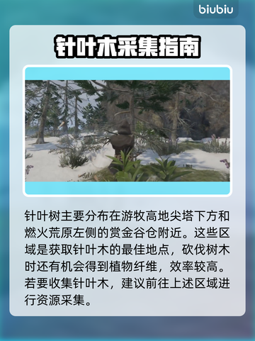 雾锁王国针叶木获取全攻略📍游戏党必看！截图2