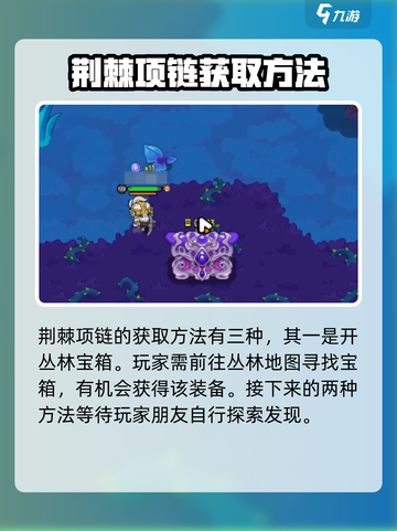 英勇之地荆棘项链怎么获得介绍截图2