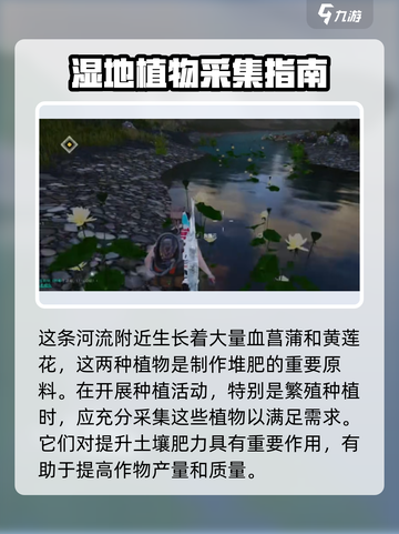 七日世界血菖蒲采集点在哪介绍截图3