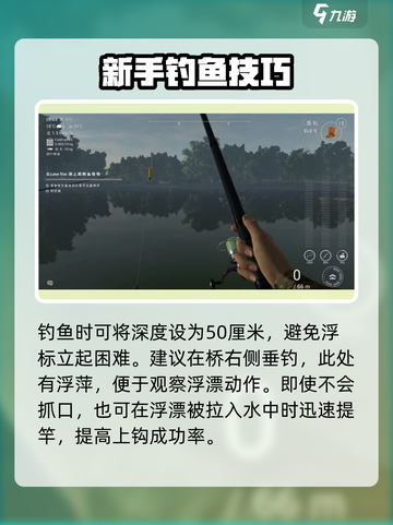 《钓鱼星球浮漂立不起来？速看解决方法！🎣》截图4