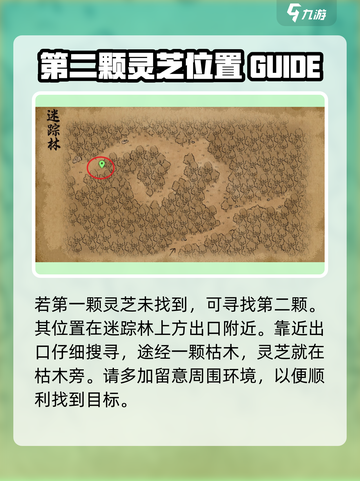 大侠立志传迷踪林灵芝在哪介绍截图4