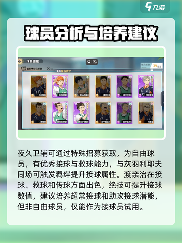 排球少年手游🔥角色强度排行曝光！必练强力角色分享截图3