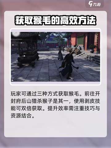 燕云十六声猴毛是什么介绍截图2