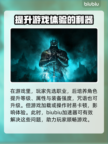 堕落之主🔥卡顿？用这个加速器秒顺畅！截图2