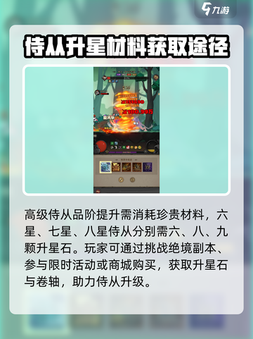 英雄没有闪侍从怎么升星介绍截图4