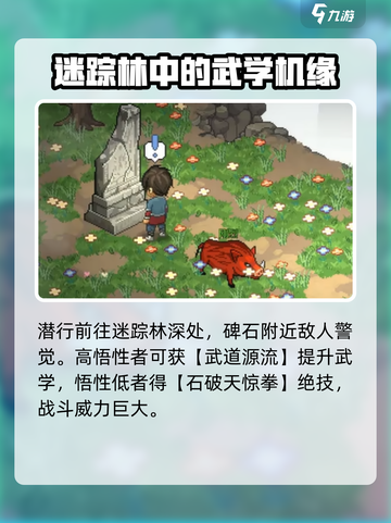 大侠立志传流程攻略之迷踪林介绍截图8
