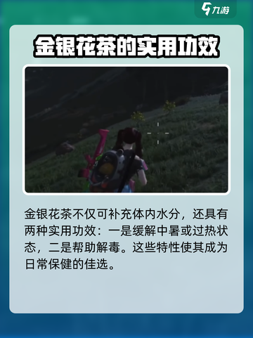七日世界金银花在哪里介绍截图3