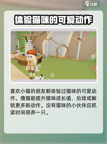 心动小镇🔥超全撸猫玩法攻略，云吸猫就在这里！🐾截图5