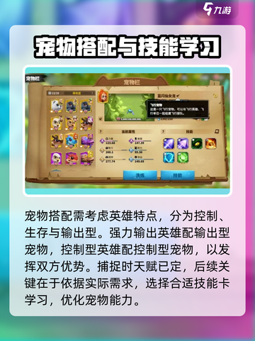 万龙觉醒🔥宠物最强搭配攻略来啦！截图4