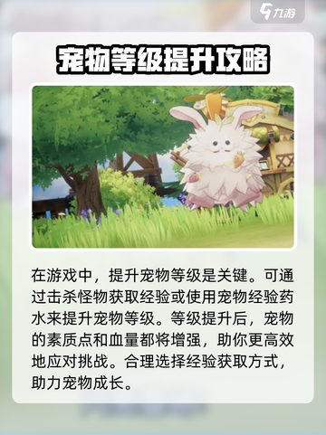 仙境传说ro爱如初见武僧宠物哪个好介绍截图5