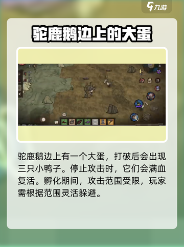 饥荒新家园🔥驼鹿鹅在哪？打法攻略⚡截图3