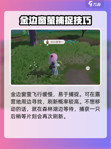 心动小镇🔥金边窗萤位置大曝光！快来看看吧✨截图4