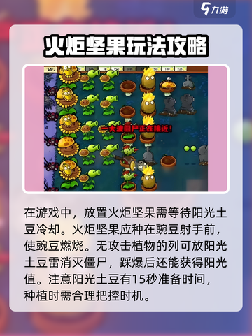 植物大战僵尸：火炬坚果🔥超神属性曝光！截图4