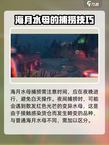 渔帆暗涌手游🔥海月水母抓取方法大公开！截图4