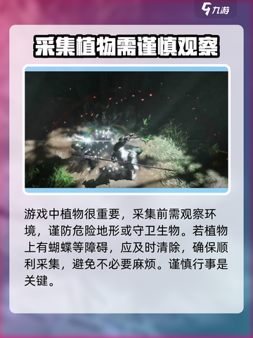 燕云十六声植物的用途分享介绍截图4
