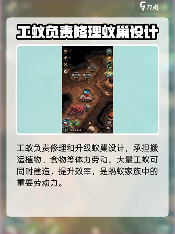 小小蚁国可以买几只工蚁介绍截图4