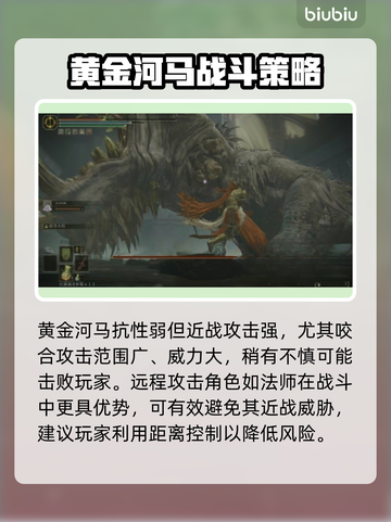 艾尔登法环：黄金河马打法🔥一招制胜黑夜君临！截图2