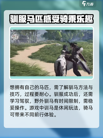 燕云十六声马怎么获得介绍截图4