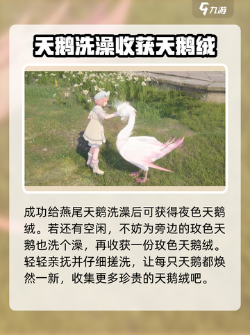 无限暖暖夜色天鹅绒获取攻略介绍截图4