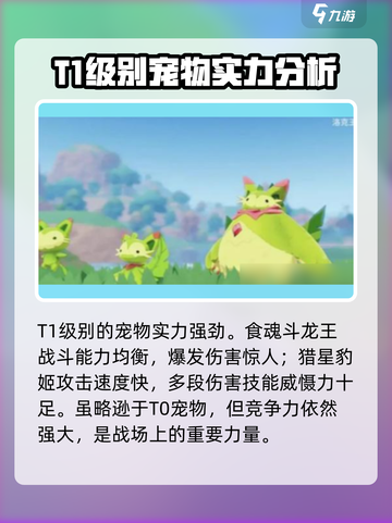 洛克王国手游现在哪个宠物最强介绍截图4