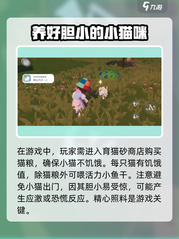 心动小镇养猫攻略📦猫咪养成秘籍🐱截图3