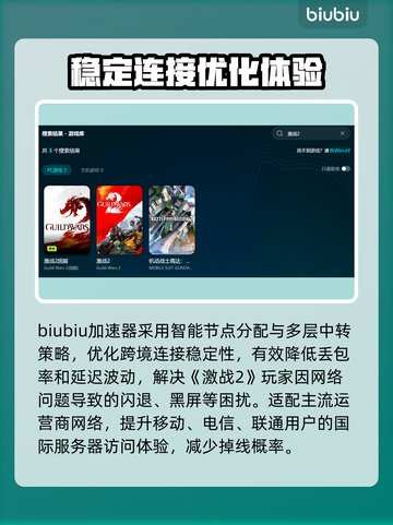 激战2黑屏闪退？用这个加速器搞定！🚀🎮截图3