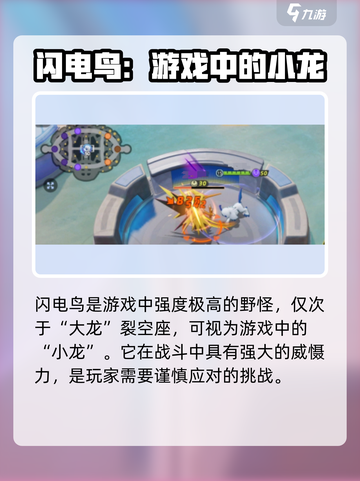 宝可梦大集结⚡闪电鸟打法揭秘，轻松制胜！截图2