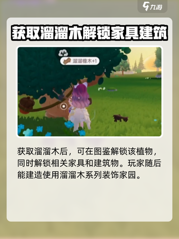心动小镇溜溜木在哪介绍截图5