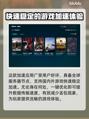 PUBG网络延迟？用对加速器轻松解决🔥🚀截图5
