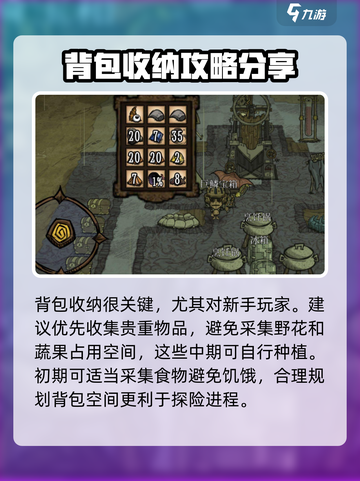 饥荒新家园背包满了怎么办介绍截图4