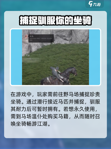 燕云十六声坐骑大全🔥游戏党必看！截图2