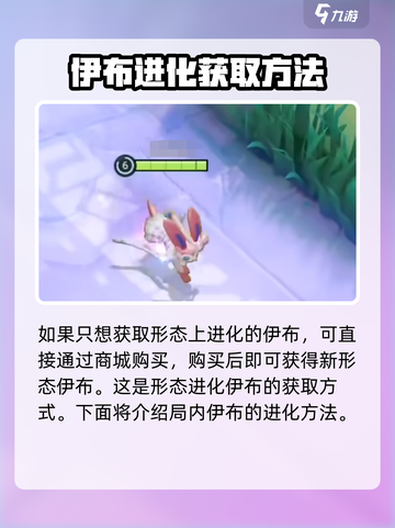 宝可梦大集结：伊布进化秘籍🌟轻松搞定！截图3