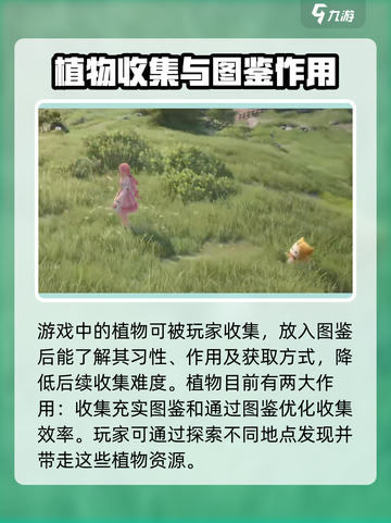 无限暖暖植物大揭秘💥，玩家必看！游戏中隐藏的秘密在这里🔥截图2