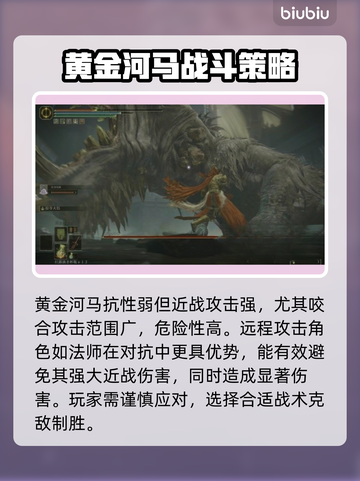 艾尔登法环：黄金河马打法💡一击致命！黑夜君临⚡截图2