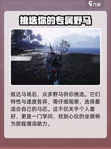 燕云十六声坐骑抓捕方法介绍截图3