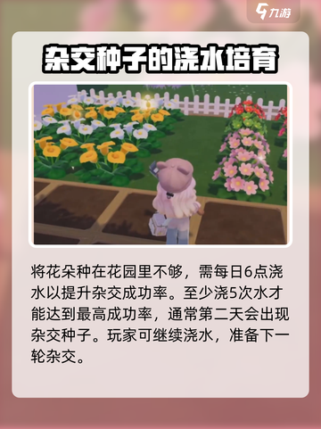 心动小镇✨粉色雏菊培育秘籍，快速上手！截图3