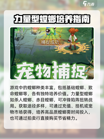 魔力宝贝复兴🔥首充螳螂必选攻略！氪金点全解析💎截图2