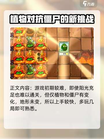 植物大战僵尸抽卡版无限阳光怎么下介绍截图5