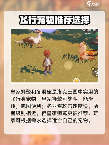 洛克王国手游皇家狮鹫技能怎么样介绍截图5