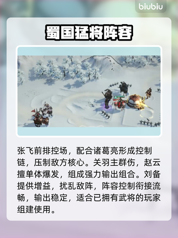 🔥三国望神州最强阵容曝光💥截图5