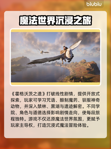 🔥霍格沃兹之遗卡顿掉帧？速用加速器拯救游戏体验！🎮截图2
