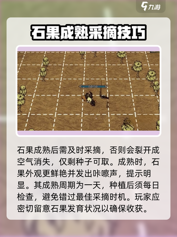 饥荒联机版石果采摘消失怎么办介绍截图2