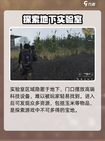 七日世界玉米在哪里介绍截图4