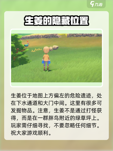 波西亚时光生姜怎么获取介绍截图4