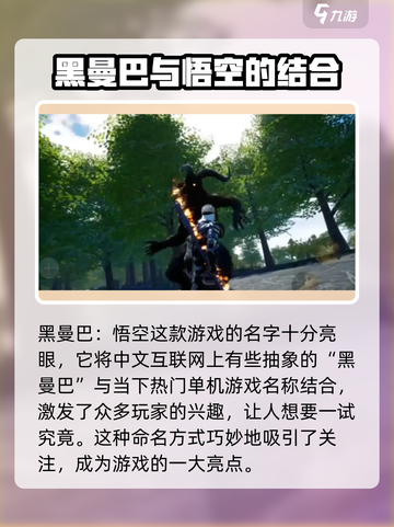 黑曼巴悟空好玩吗介绍截图2