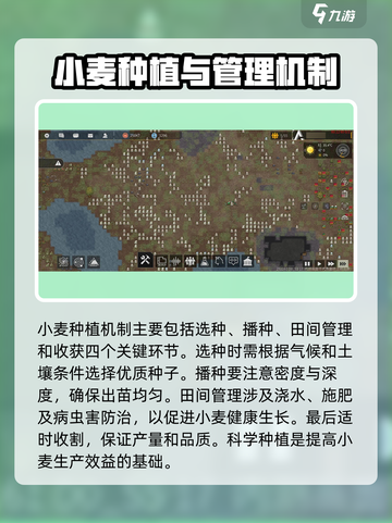 秩序新曙光小麦种植攻略介绍截图2